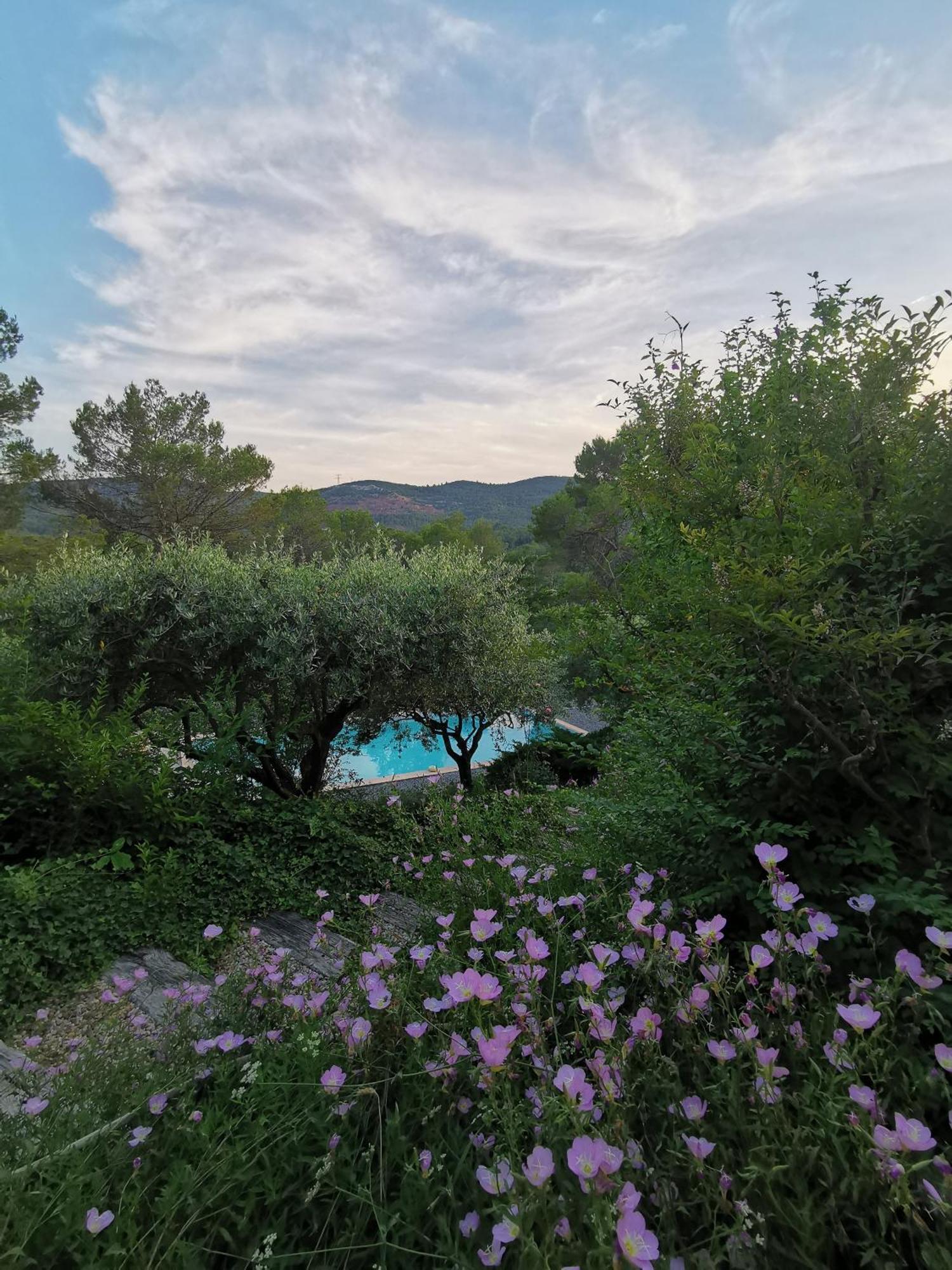 Bed and Breakfast Bastide Saint Bernard Le Thoronet Exterior foto